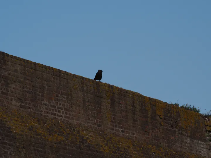 Fort Napoleon Oostende (België)